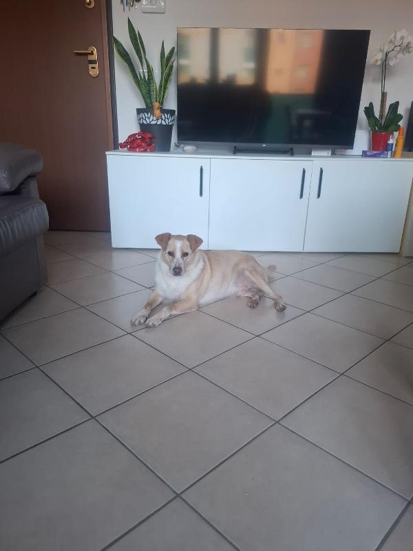 ❤️ “Birillo: Il Ragazzo che Nessuno Voleva… Ora Aspetta Solo Te!” ❤️ Foto 7